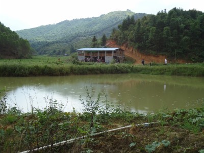 放眼望去，只是鹤鸣农场的一片